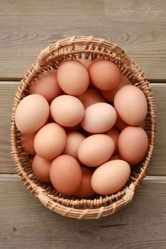 Farm Fresh Eggs (12 pcs)