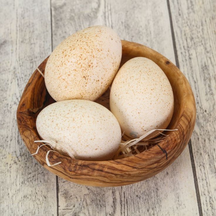 Turkey Eggs
